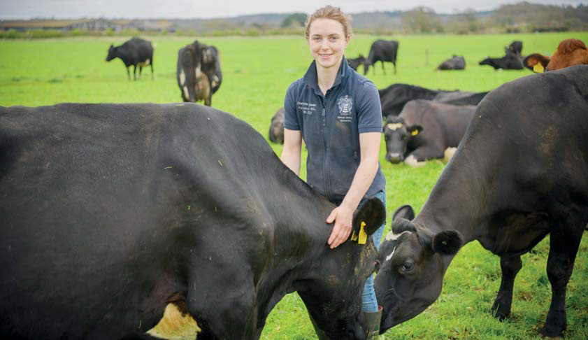 Charlotte Lawder of Bisterne Farms, winner of the NMR RABDF Gold Cup with some of the spring calvers