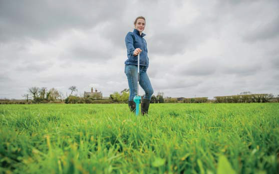 Charlotte Lawder of Bisterne Farms, winner of the RABDF NMR Gold Cup, in a field