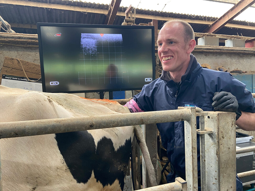 Dan Humphries scanning cows at Harper Adams, winner of the NMR RABDF Gold Cup