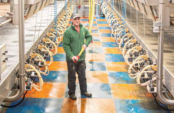 The milking parlour at Treveale Farm